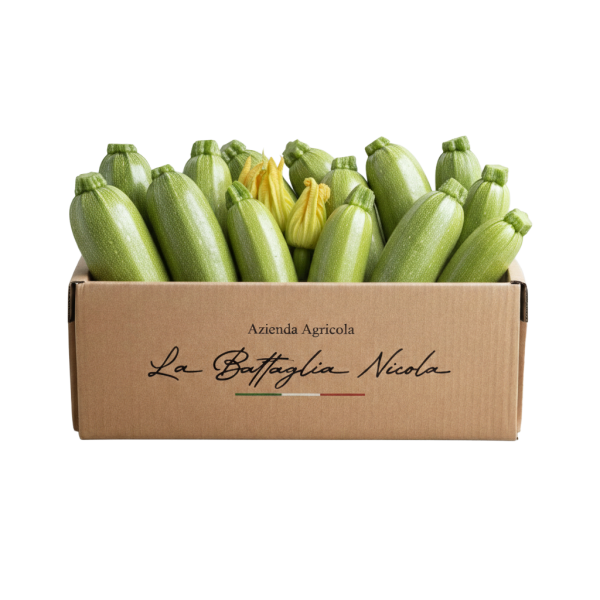 Box Regalo Zucchine
