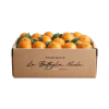 arance Box Regalo Arance 10Kg