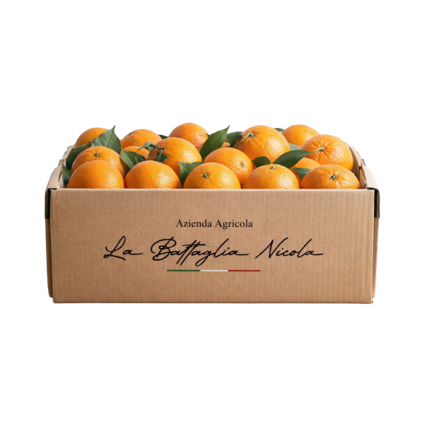 arance Box Regalo Arance 10Kg