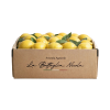 limoni Box Regalo Limoni 10Kg