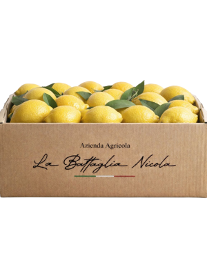 Box Regalo Limoni 10Kg