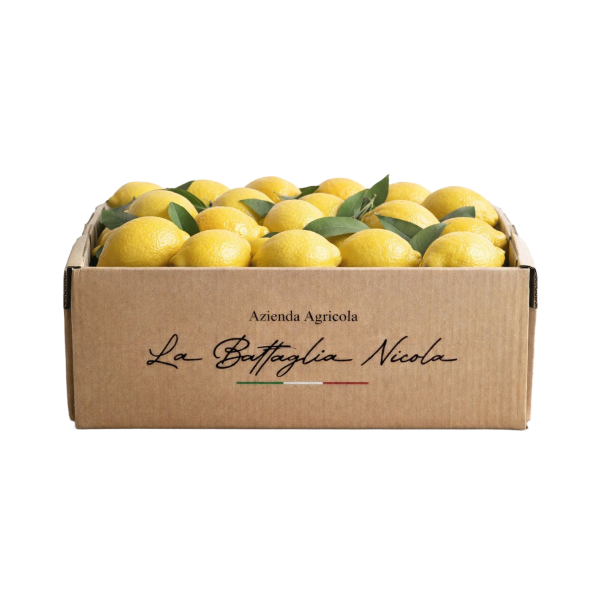 limoni Box Regalo Limoni 10Kg